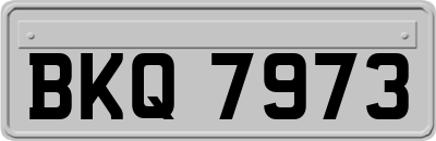 BKQ7973