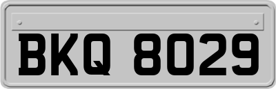 BKQ8029