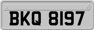 BKQ8197
