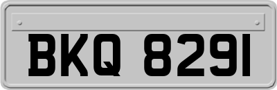 BKQ8291