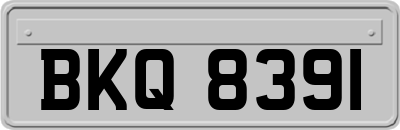 BKQ8391