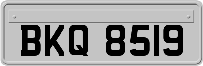 BKQ8519