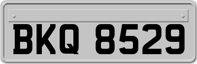 BKQ8529