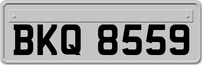 BKQ8559