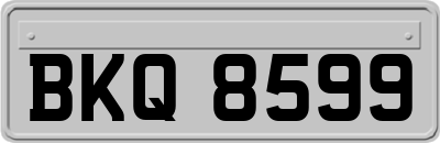 BKQ8599
