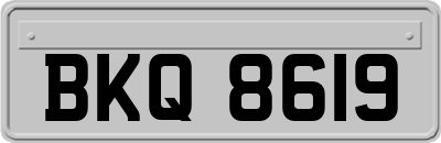 BKQ8619
