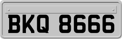 BKQ8666