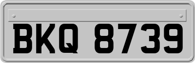 BKQ8739