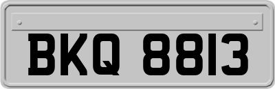 BKQ8813