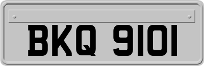 BKQ9101