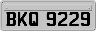 BKQ9229