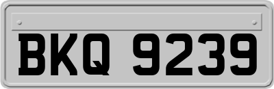 BKQ9239