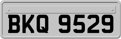 BKQ9529