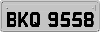 BKQ9558
