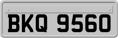 BKQ9560