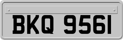 BKQ9561