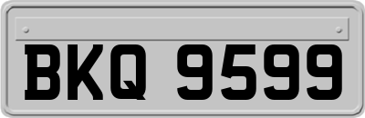 BKQ9599
