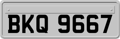 BKQ9667