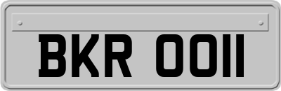 BKR0011