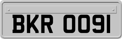 BKR0091