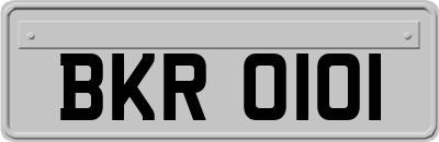 BKR0101