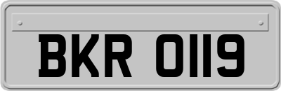 BKR0119