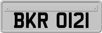 BKR0121