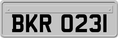 BKR0231