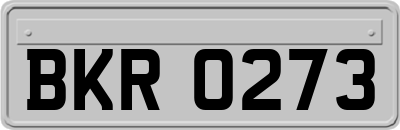 BKR0273