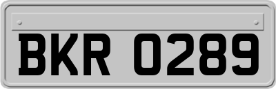 BKR0289