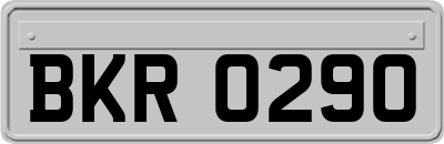 BKR0290