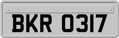 BKR0317