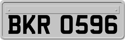 BKR0596