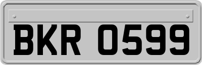 BKR0599