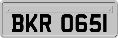 BKR0651