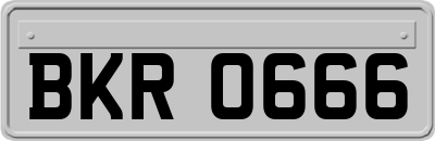 BKR0666