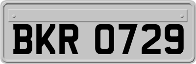 BKR0729