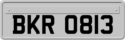 BKR0813