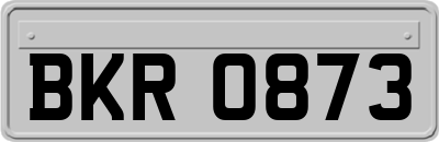 BKR0873