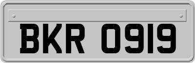 BKR0919