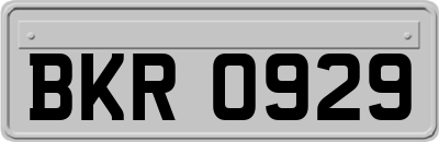 BKR0929