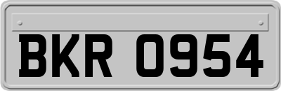 BKR0954