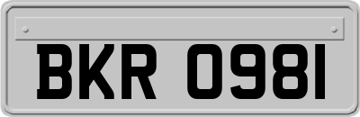 BKR0981