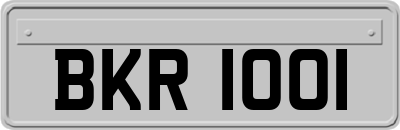BKR1001