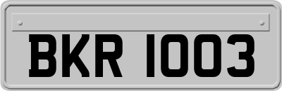BKR1003