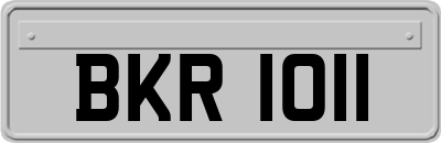 BKR1011