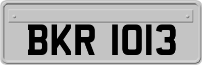 BKR1013