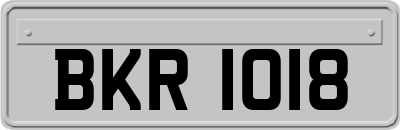 BKR1018
