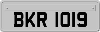 BKR1019