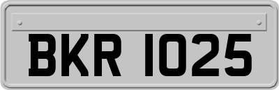 BKR1025